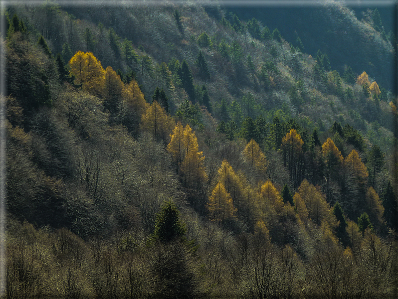 foto Da Possagno a Cima Grappa